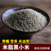 陕北米脂黑小米 传统农耕种植 五谷杂粮 宝宝辅食可选 商品缩略图0