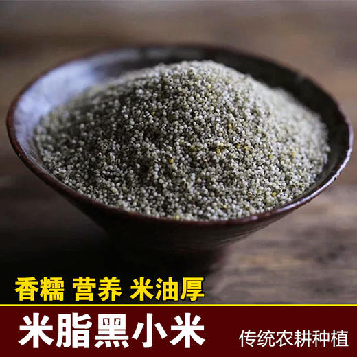 陕北米脂黑小米 传统农耕种植 五谷杂粮 宝宝辅食可选 商品图0