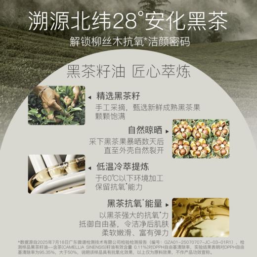 【𝟏𝟎𝟗元任选❸+❶】柳丝木黑茶柔润洗面奶氨基酸深层清洁绵密泡沫敏肌可用 商品图1
