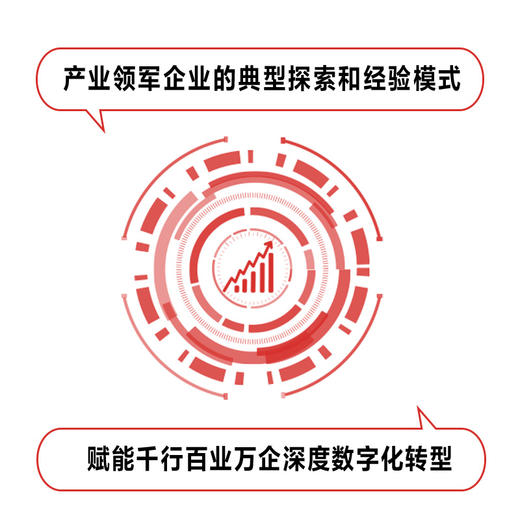 产业数字化转型：打造中国式现代化新引擎 商品图3