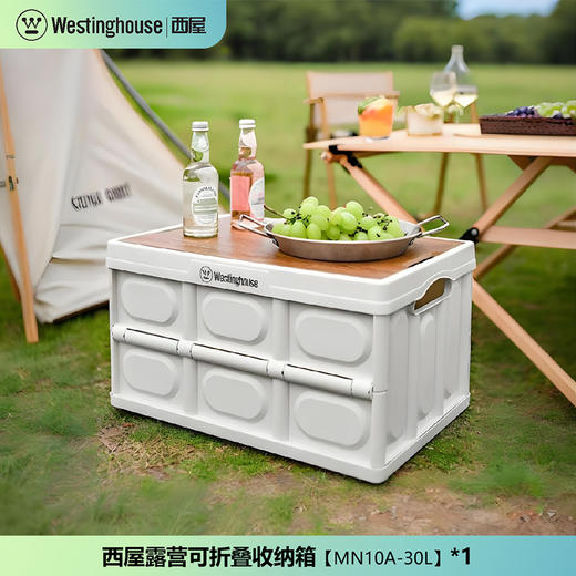 西屋Westinghouse收纳箱 商品图0