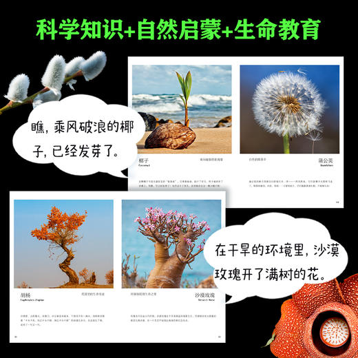 新晋爆款-儿童纸上纪录片《小自然+小植物》 商品图7