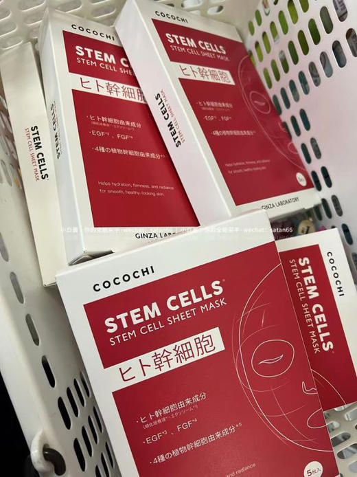 【买一盒送精华5ml 】日本COCOCHI干细胞面膜5片装保湿抗氧化二合一 商品图4
