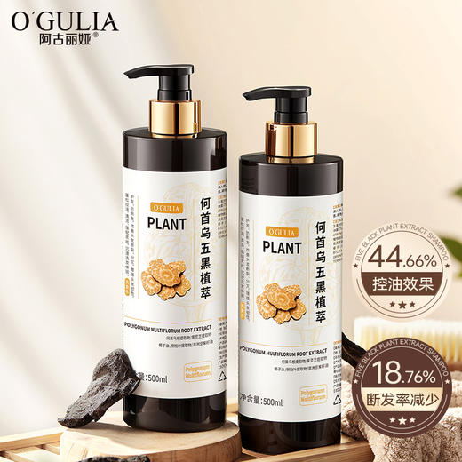 买一送一【专攻油扁塌，深度护理】阿古丽娅-何首乌五黑植萃洗发水 500ml/瓶 商品图0