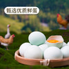 有机散养绿壳鸡蛋 商品缩略图4
