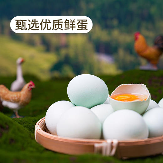 有机散养绿壳鸡蛋 商品图4