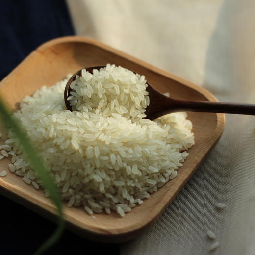 火山石板米 | 2025新米尝鲜 商品图4