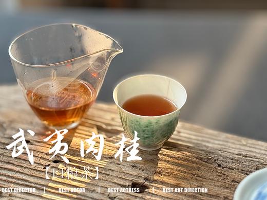 【小陈茶事的口粮茶】2025武夷岩茶肉桂，桂皮香、花香、木质香交互呈现，水感是柔的，滑的，细软的，洁净，爽朗，又芳香盈盈 商品图10