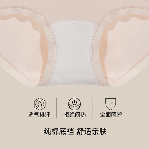 【满4条/7.5折】（中版）【秀黛】女时尚印花棉质平角裤女士内裤【1条】W5333057T【门店同款】【内裤非质量问题不退换，介意勿拍】 商品图2