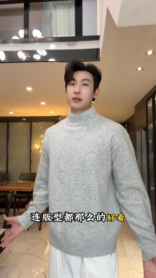 859SDSA男士秋冬新款痞帅男装慵懒风简约立领毛衣百搭时尚休闲针织衫 商品图0