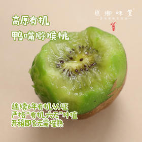 有机高原奇异果/猕猴桃（基地直发-顺丰包邮）| 多种规格，来自云南昆明，生产者：徐浩杰【合作生产，公平贸易】