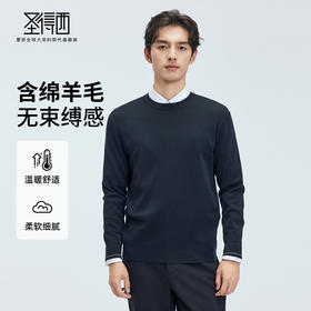 【门店同款】圣得西2025年秋冬季毛衫柔软细腻男款无束缚感针织衫