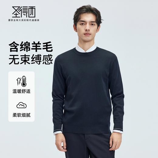 【门店同款】圣得西2025年秋冬季毛衫柔软细腻男款无束缚感针织衫 商品图0