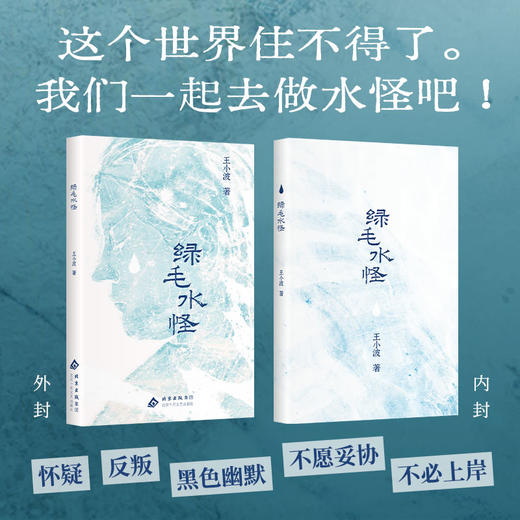 绿毛水怪（2025版） 商品图1