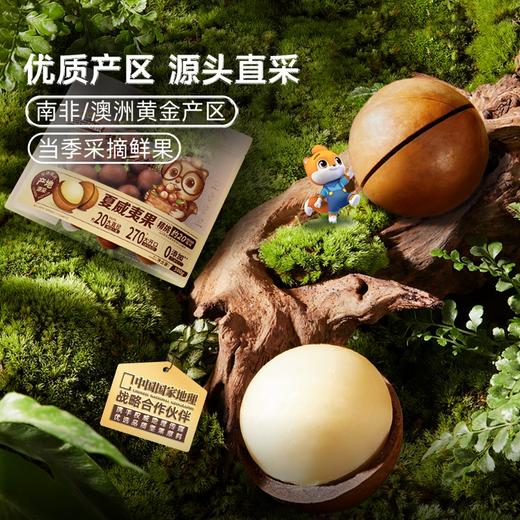 三只松鼠 量贩袋装_夏威夷果500g 商品图2