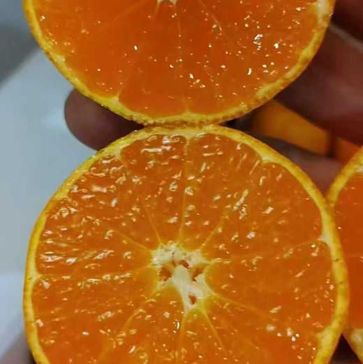 【正宗涌泉蜜桔】先到先得，口感爆汁纯甜，中国蜜橘！回购率超高！橘子味浓郁， 商品图6
