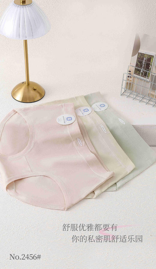 女士中大版精梳棉长绒棉内裤三角裤2456 商品图1