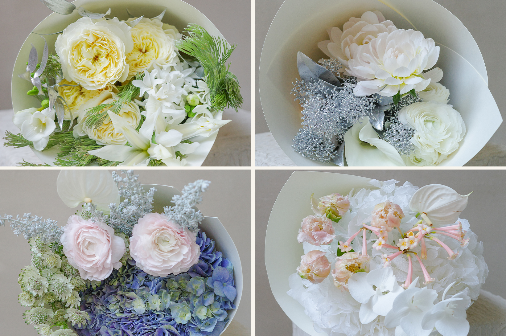 觅光之境 Luminous Field