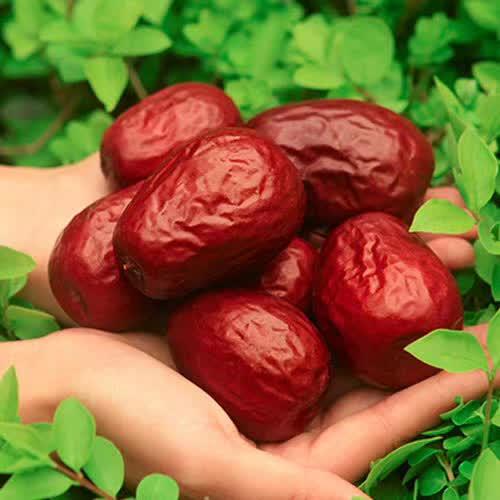 新疆和田大枣（骏枣，2025年新枣） 商品图4