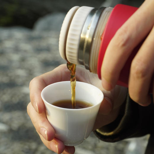 马上转运// 限定 19年老熟普 2007年谭梅九九茶砖 宣纸手工包装 商品图4