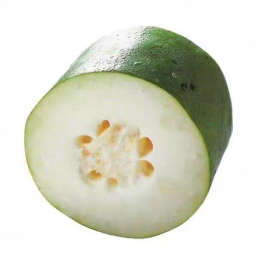 【ZCWJ】新鲜嫩绿冬瓜煲汤炒菜软糯嫩滑 商品图2