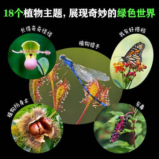 新晋爆款-儿童纸上纪录片《小自然+小植物》 商品图5