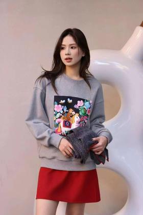 新年系列马年毛圈纯棉卫衣！2026年纯棉卫衣！