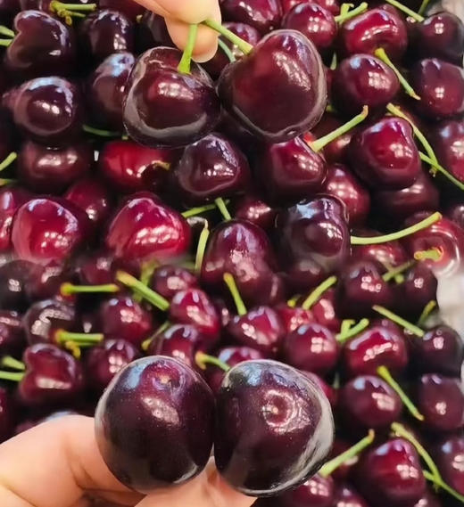 瑞吉娜车厘子，2JD，世界排名第二，果味浓郁，嘎呗脆 商品图1