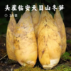 头茬临安天目山冬笋 | 精选两头尖大笋现挖现发 肉质细嫩鲜美 饱满清甜爽脆 清香开胃 肉厚无渣 美味百搭好食材 商品缩略图0