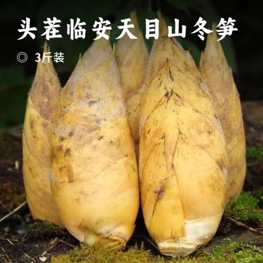 头茬临安天目山冬笋 | 精选两头尖大笋现挖现发 肉质细嫩鲜美 饱满清甜爽脆 清香开胃 肉厚无渣 美味百搭好食材 商品图0