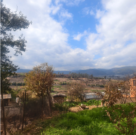 【俊发城百合苑小店自提 不发快递】武定土鸡（1.8-2.4KG） 养足300天  肉质出众而驰名全滇，嫩滑，骨头都带着酥脆感，炖煮时汤汁清亮却鲜美无比，是鸡汤爱好者的终极梦想。