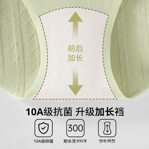 雀说10A女士高腰内裤无痕纯棉加长底裆透气提臀收腹女士三角裤3条装ALW8067 商品图4