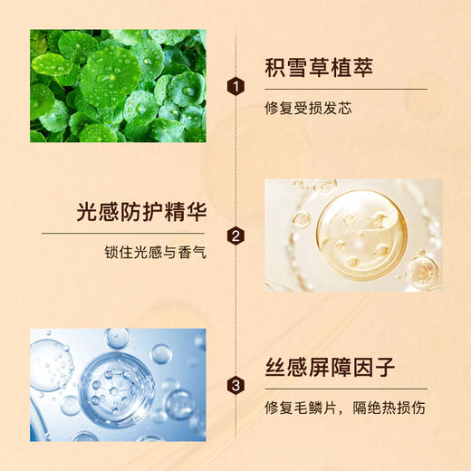 GOTUKOLA 流光发油 商品图4