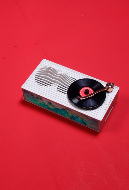 声生如意 慢叙贺岁 商品图5