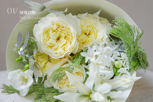 觅光之境 Luminous Field 商品图1