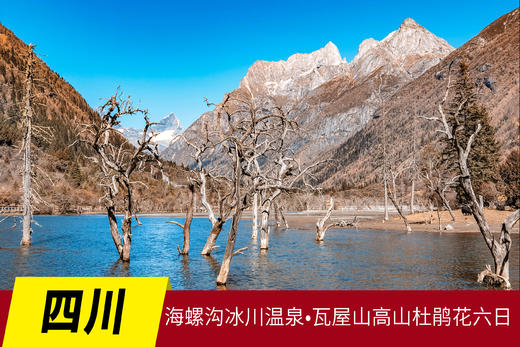 5.7出发【四川】海螺沟冰川红石•瓦屋山高山杜鹃花六日Y 商品图0