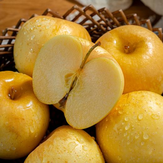 山东黄金维纳斯苹果 脆甜多汁果汁浓郁 商品图4