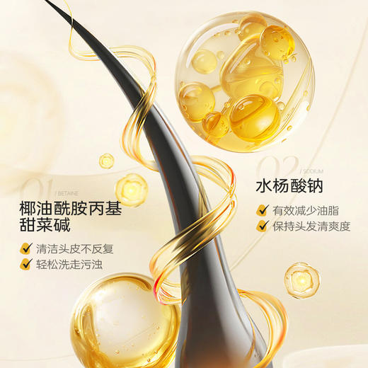 买一送一【专攻油扁塌，深度护理】阿古丽娅-何首乌五黑植萃洗发水 500ml/瓶 商品图3