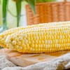 【云南金银水果玉米】皮薄汁多、玉米粒颗颗爆浆 商品缩略图4