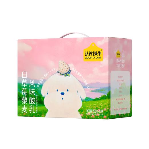 230g*10认养1头牛白草莓藜麦酸奶 商品图0