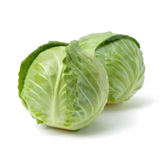 【ZCWJ】新鲜嫩绿卷心菜绿甘蓝圆包菜 商品图1