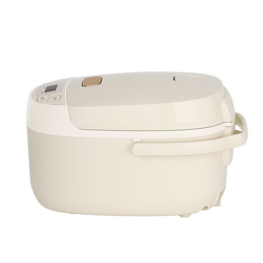 香槟金饭煲3L 商品图3