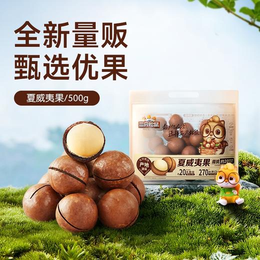三只松鼠 量贩袋装_夏威夷果500g 商品图1