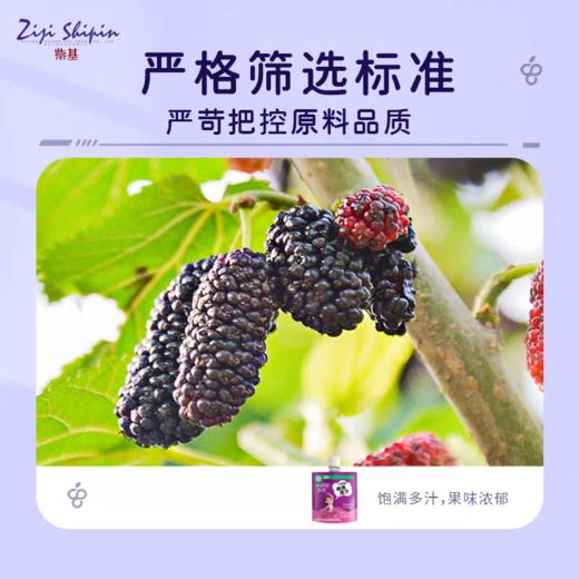 紫基桑葚汁30ml，90ml 商品图3