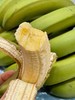 【俊发城百合苑小店自提 不发快递】普洱大山深处的绿皮香蕉  品质优良、果肉滑嫩、甘甜清香、营养丰富，肉质细腻粉糯、清香恰人 商品缩略图3