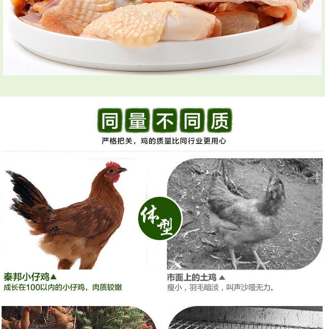 母鸡详情图_11.jpg
