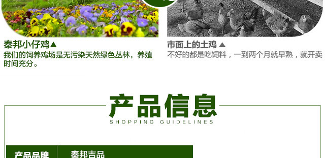 母鸡详情图_14.jpg