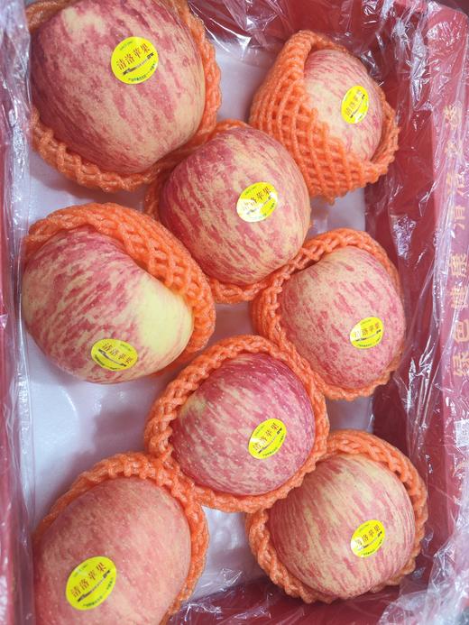 洛川 清洛苹果礼盒装 个头大，口感脆甜多汁！ 商品图4