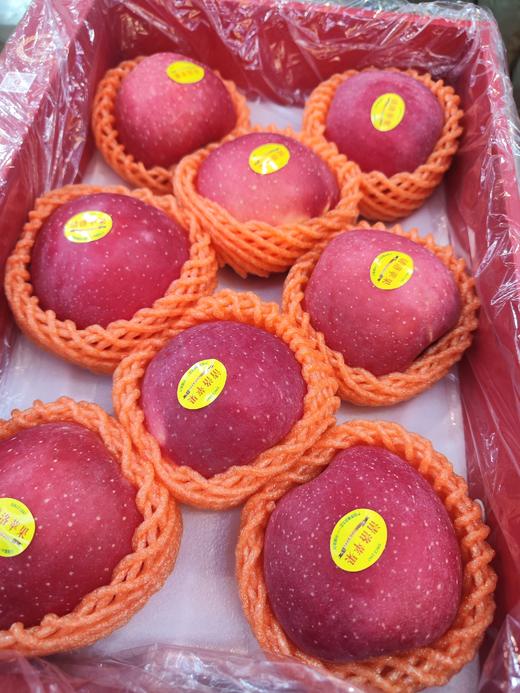 洛川 清洛苹果礼盒装 个头大，口感脆甜多汁！ 商品图2