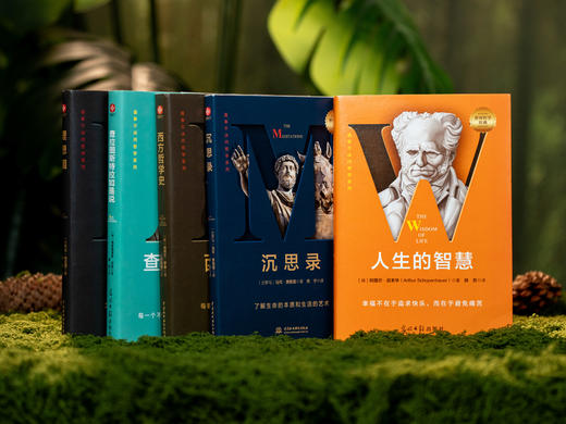人生醒世五部曲”（5册）|柏拉图、奥勒留、叔本华、尼采、罗素，一次饱读五位世界公认、人类智慧DF的醒世JU作，带你破除生活迷障，收获通达人生 商品图1
